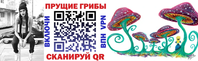 Псилоцибиновые грибы GOLDEN TEACHER omg зеркало Хотьково наркота